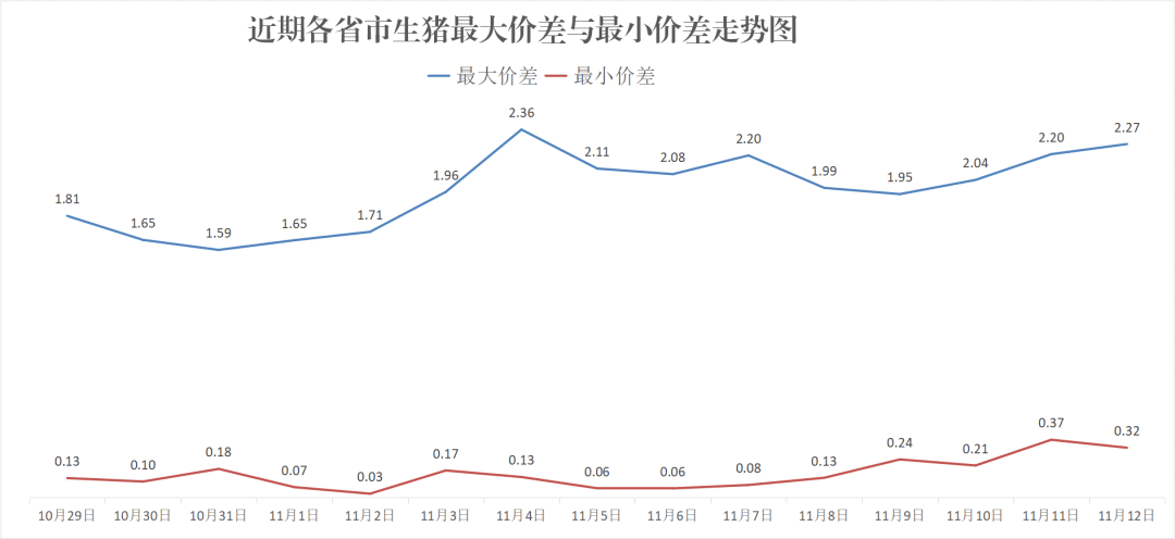 每日猪讯11.12